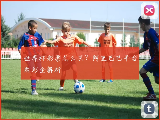 世界杯彩票怎么买？阿里巴巴平台购彩全解析
