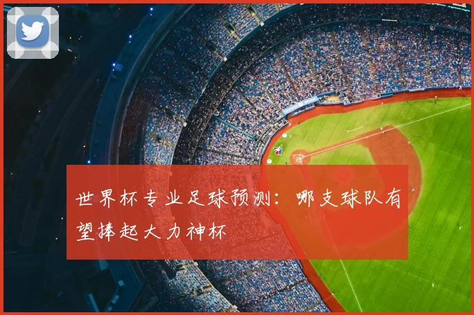 世界杯专业足球预测:哪支球队有望捧起大力神杯