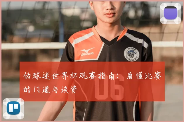 伪球迷世界杯观赛指南:看懂比赛的门道与谈资