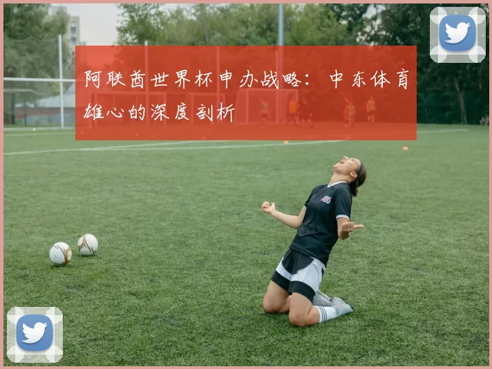 阿联酋世界杯申办战略:中东体育雄心的深度剖析