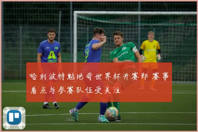 哈利波特魁地奇世界杯开赛即 赛事看点与参赛队伍受关注