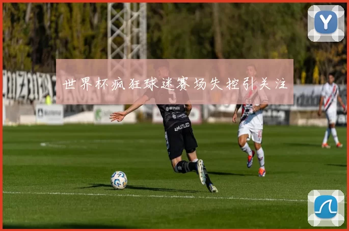 世界杯疯狂球迷赛场失控引关注