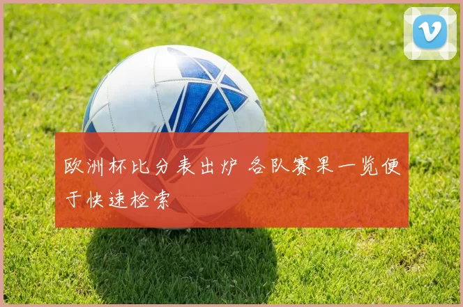 欧洲杯比分表出炉 各队赛果一览便于快速检索