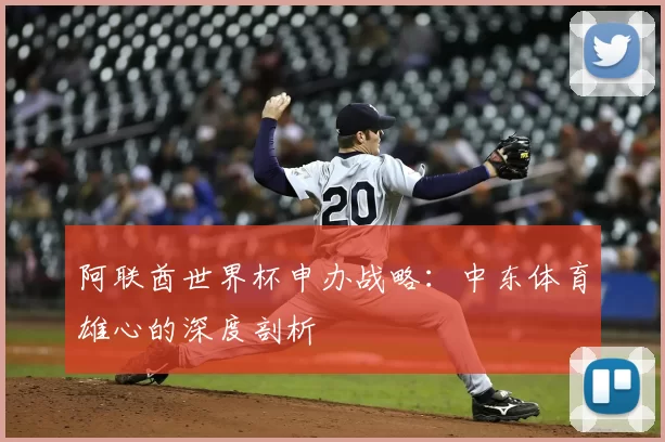 阿联酋世界杯申办战略:中东体育雄心的深度剖析
