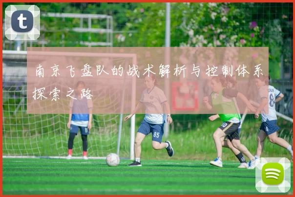 南京飞盘队的战术解析与控制体系探索之路