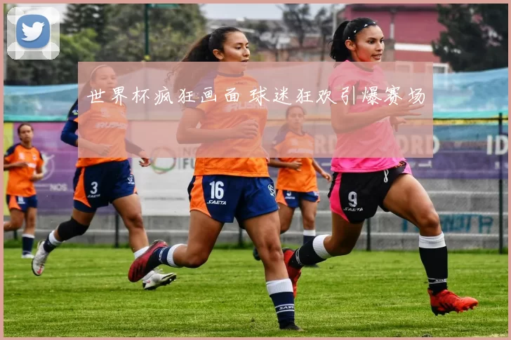 世界杯疯狂画面 球迷狂欢引爆赛场