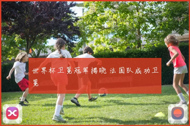 世界杯卫冕冠军揭晓 法国队成功卫冕