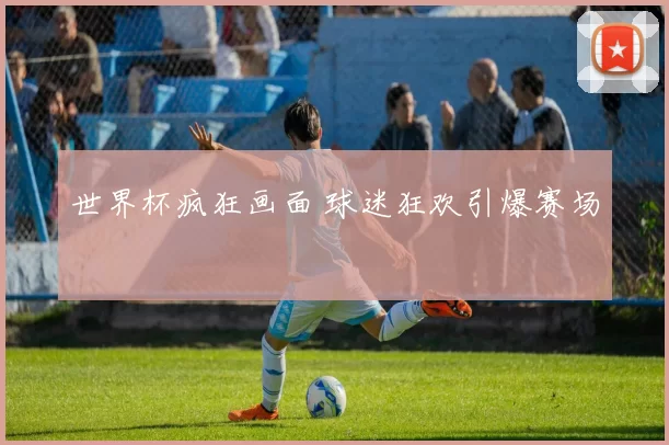 世界杯疯狂画面 球迷狂欢引爆赛场