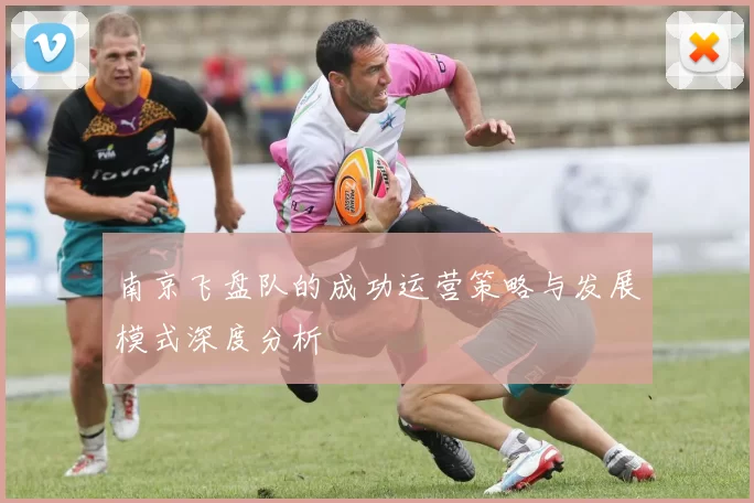 南京飞盘队的成功运营策略与发展模式深度分析