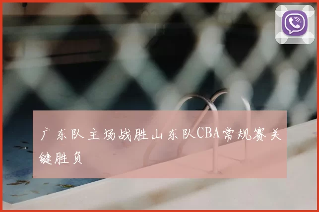 广东队主场战胜山东队CBA常规赛关键胜负