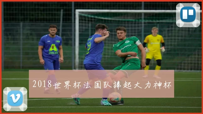 2018世界杯法国队捧起大力神杯