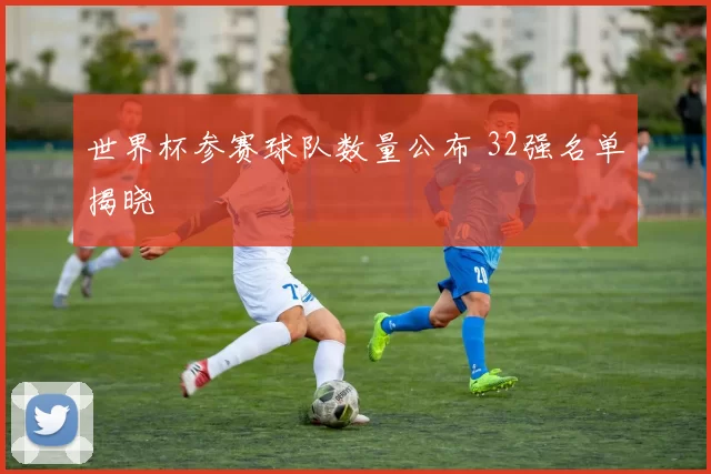 世界杯参赛球队数量公布 32强名单揭晓