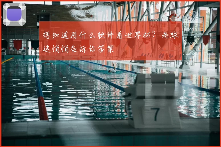 想知道用什么软件看世界杯?老球迷悄悄告诉你答案
