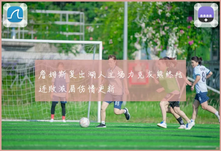 詹姆斯复出湖人主场力克灰熊终结连败浓眉伤情更新