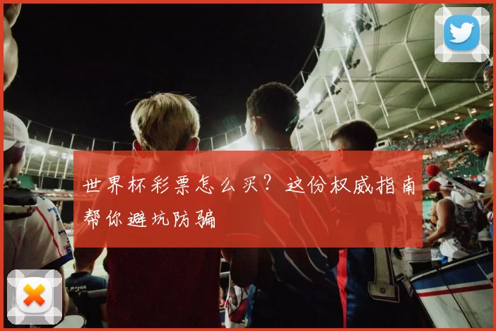 世界杯彩票怎么买？这份权威指南帮你避坑防骗