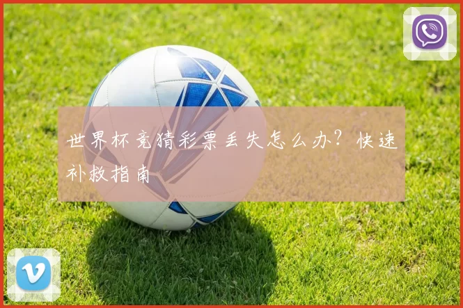 世界杯竞猜彩票丢失怎么办?快速补救指南